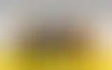 Blurred archive preview