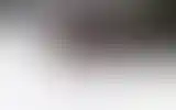 Blurred archive preview