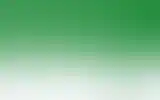 Blurred archive preview
