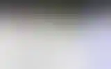Blurred archive preview