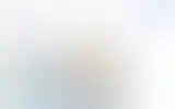 Blurred archive preview