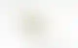 Blurred archive preview