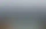Blurred archive preview