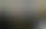 Blurred archive preview