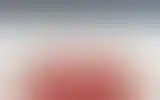 Blurred archive preview