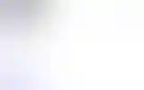 Blurred archive preview
