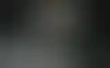 Blurred archive preview