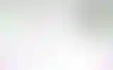 Blurred archive preview