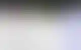 Blurred archive preview