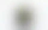Blurred archive preview