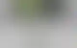 Blurred archive preview