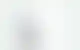 Blurred archive preview