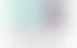Blurred archive preview