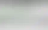 Blurred archive preview