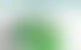 Blurred archive preview