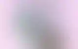 Blurred archive preview