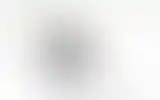 Blurred archive preview