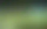 Blurred archive preview