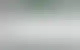 Blurred archive preview