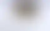 Blurred archive preview