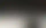 Blurred archive preview