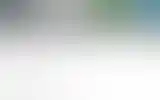 Blurred archive preview