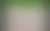 Blurred archive preview