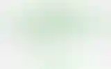 Blurred archive preview