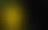 Blurred archive preview
