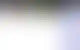 Blurred archive preview
