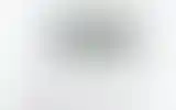 Blurred archive preview