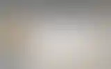 Blurred archive preview