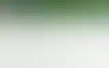Blurred archive preview