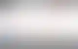 Blurred archive preview
