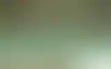 Blurred archive preview
