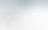 Blurred archive preview