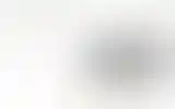 Blurred archive preview