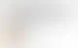 Blurred archive preview