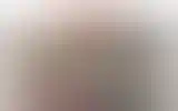 Blurred archive preview
