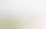Blurred archive preview