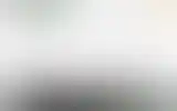 Blurred archive preview