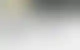Blurred archive preview