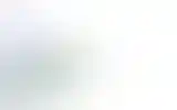 Blurred archive preview