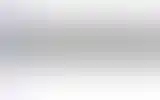 Blurred archive preview