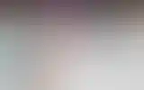 Blurred archive preview