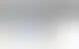 Blurred archive preview