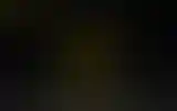 Blurred archive preview