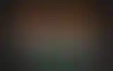 Blurred archive preview