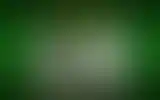 Blurred archive preview