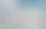 Blurred archive preview
